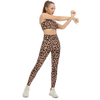 Women Seamless Yoga Sets 2-piece Sexy Leopard Print Custom Sports Bras Fitness Gym Sports Workout High Waist Tummy Control Wholesale Leggings
